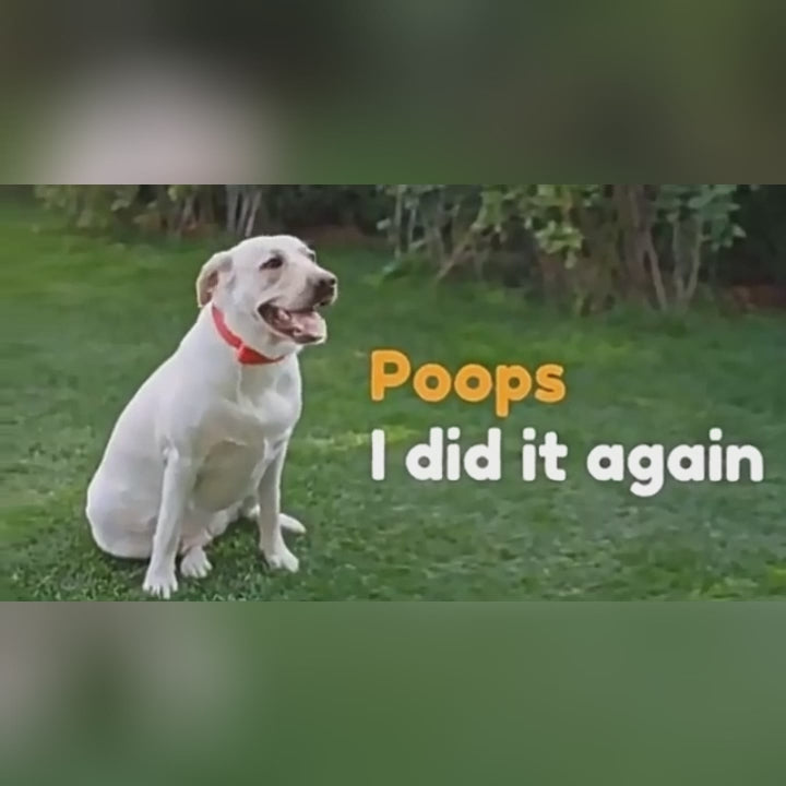 Pooper Scooper Pet Outdoors Portable Claw Poop Scooper